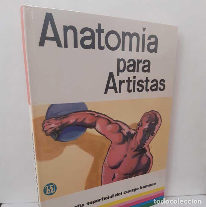Livros em segunda m&atilde;o: ANATOM&Iacute;A PARA ARTISTAS. TOPOGRAF&Iacute;A SUPERFICIAL DEL CUERPO HUMANO - BENEDICTS, U.