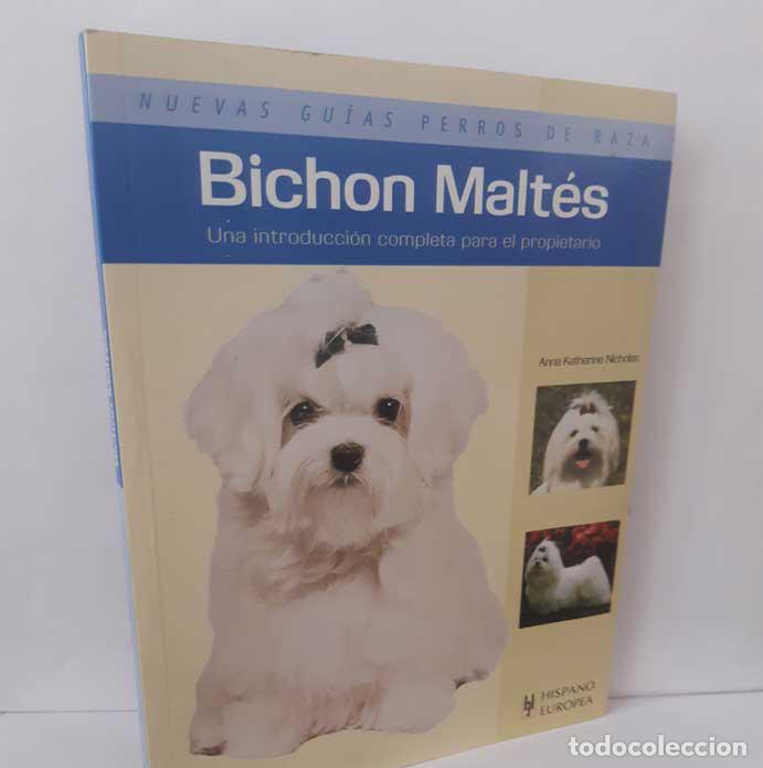 Livros em segunda m&atilde;o: BICHON MALT&Eacute;S - NICHOLAS, ANNA KATHERINE