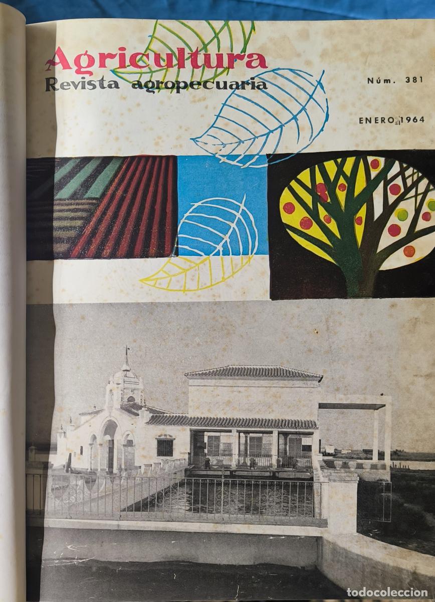 Libros: Agricultura: Revista Agropecuaria 22 Tomos -
