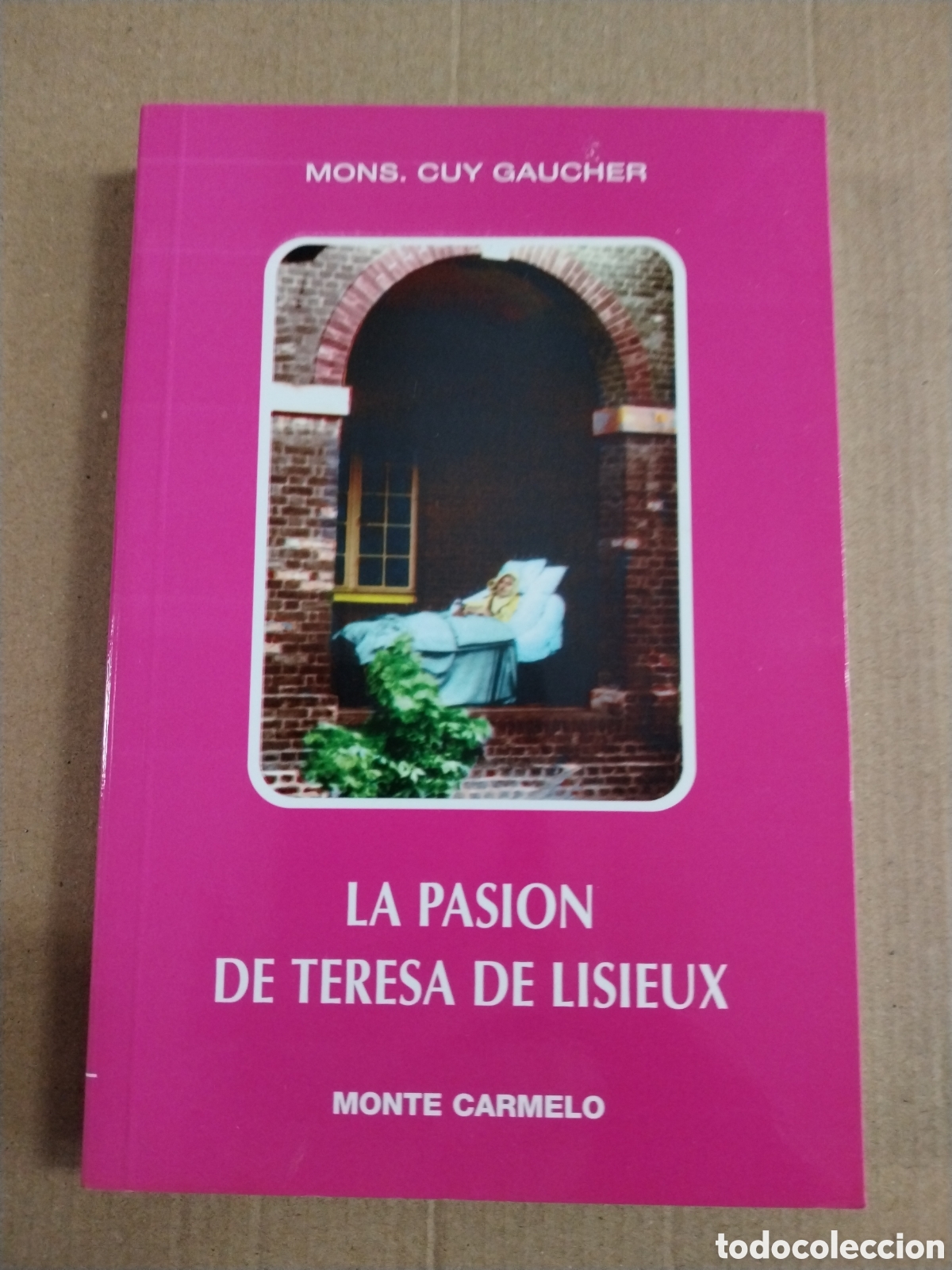 Libros: LA PASI&Oacute;N DE TERESA DE LISIEUX. GUY GAUCHER. CL.
