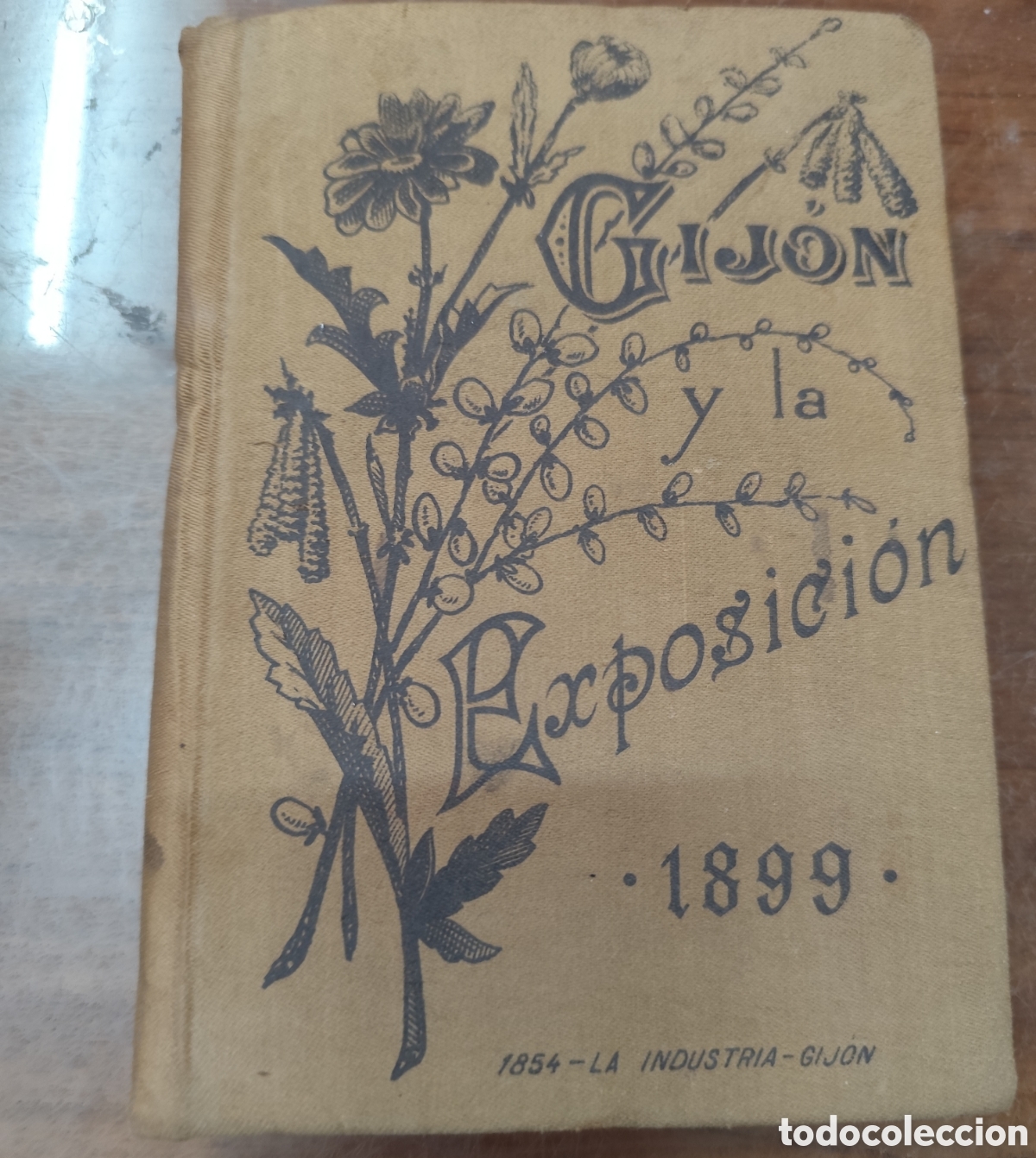 books: GIJON Y LA EXPOSICION DE 1899. 1&ordf; Edici&oacute;n. A&ntilde;o 1899. Asturias