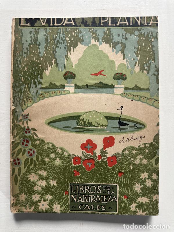 Libros: La vida de las plantas - Dantin Cereceda J. - Foto 1