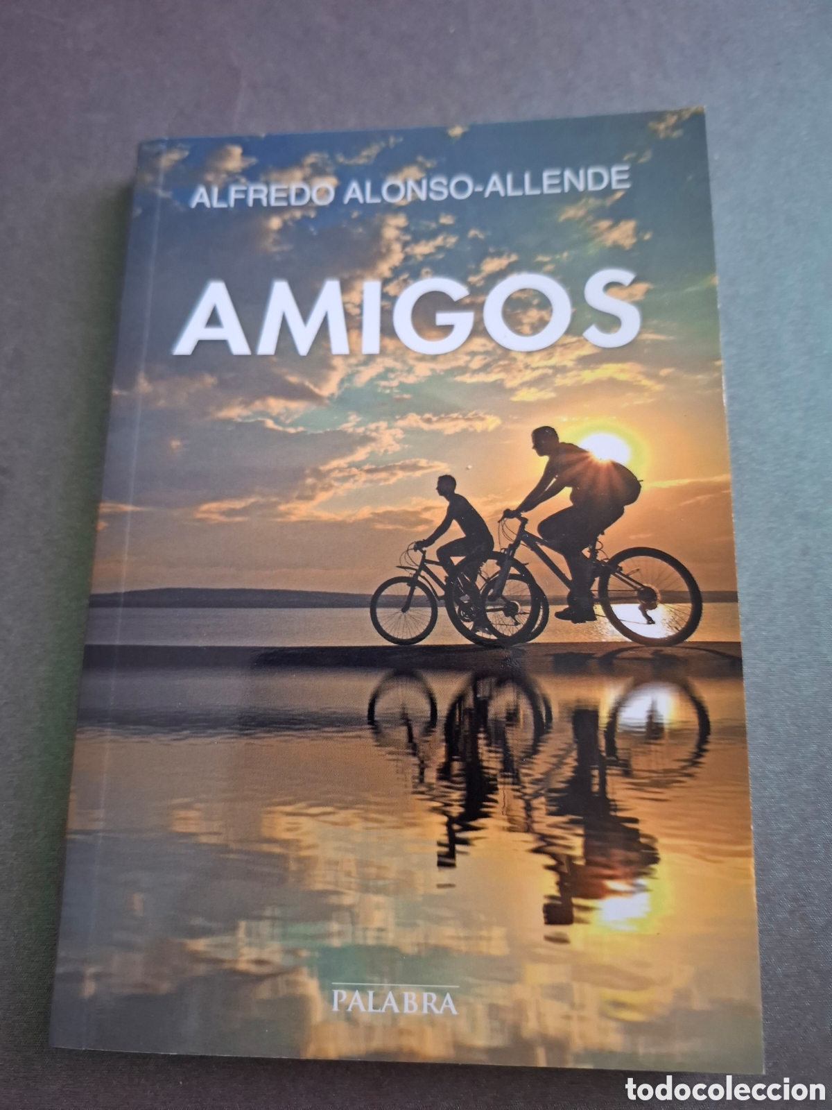 Libros: Amigos - Alfredo Alonso Allende - 2014