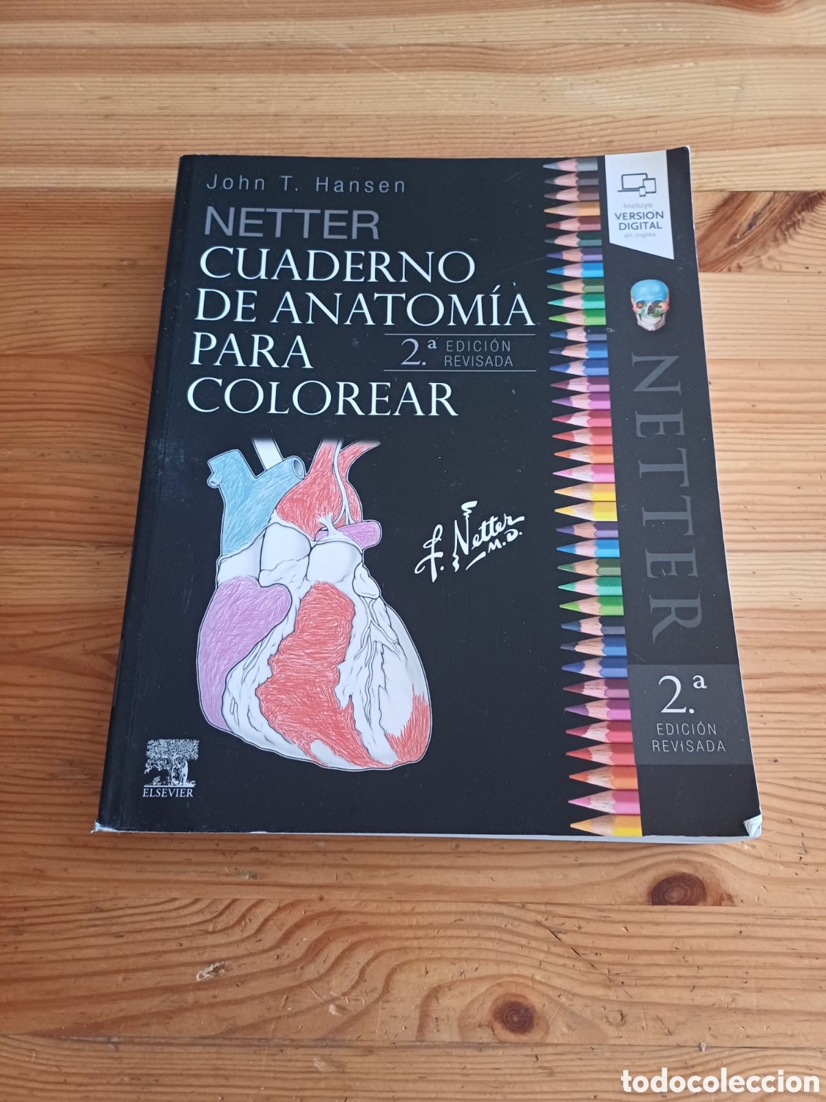 Libros: Netter Cuaderno de anatomia para colorear John T. Hansen Medicina estudio entretenimiento