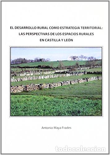 Libros: El desarrollo rural como estrategia territorial: las perspectivas de los espacios rurales en Castill