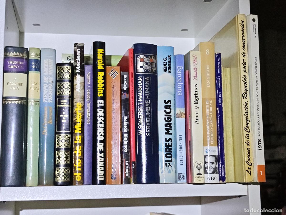 Libros: OFERTA - MAGNIFICO LOTE 20 LIBROS DIFERENTES -