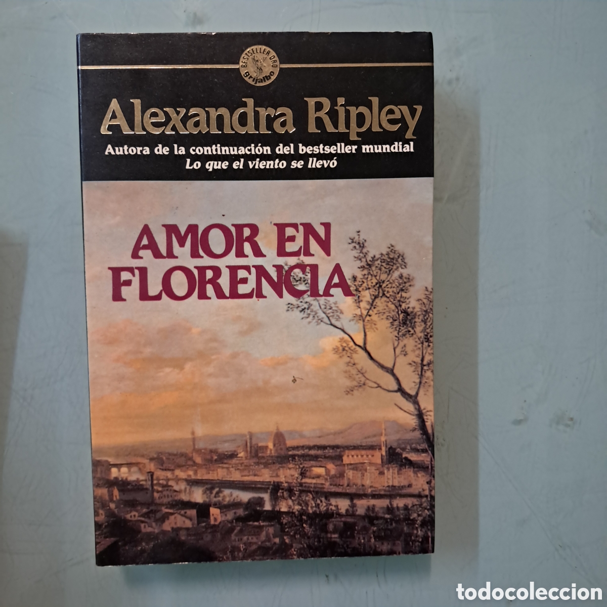 Libros: Alejandra Ripley, Amor en Florencia, Grijalbo