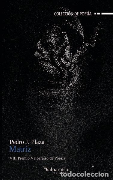 Libri di seconda mano: MATRIZ- 9788419347466