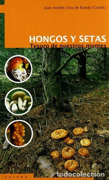 Libros: Hongos y setas- 9788495018977