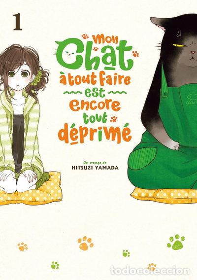 Libros: Mon chat &agrave; tout faire est encore tout d&eacute;prim&eacute; - Tome 1- 9782382752807