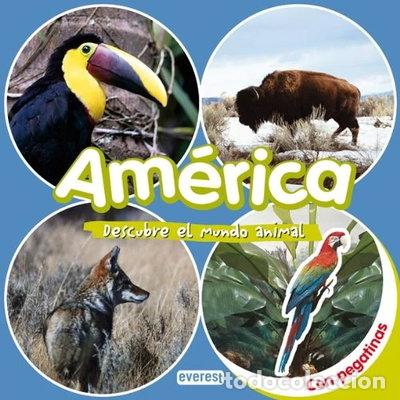 Libros: Am&eacute;rica. Descubre el mundo animal- 9788424116613