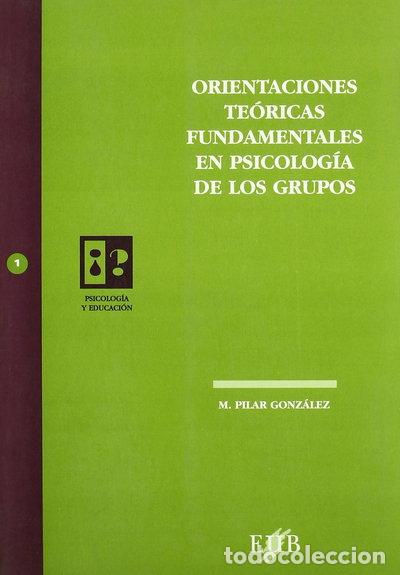 books: Orientaciones te&oacute;ricas fundamentales en psicolog&iacute;a de los grupos- 9788483120095