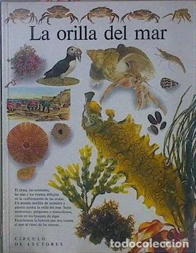 books: La orilla del mar- 9788422638001