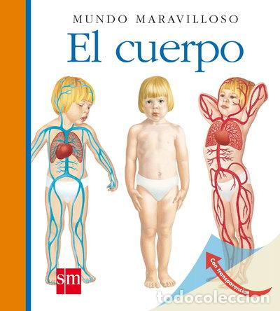 Libros: El cuerpo- 9788467539646 - Foto 1