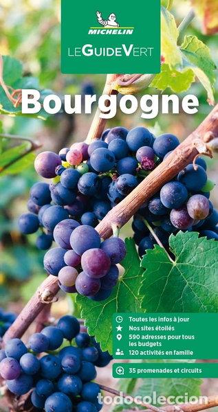 Livres: Guide Vert Bourgogne- 9782067257481