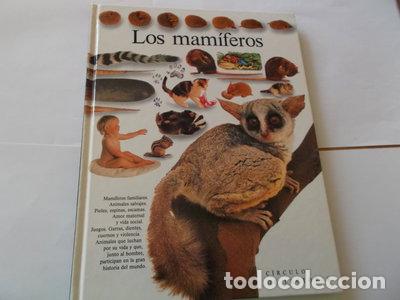 Libros: Los Mam&iacute;feros- 9788422637974