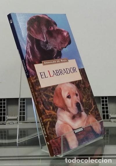 Libros: El labrador- 9788430595440