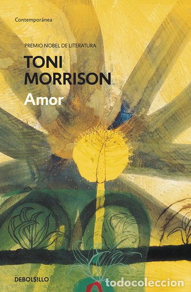 books: Amor (9788497935333)