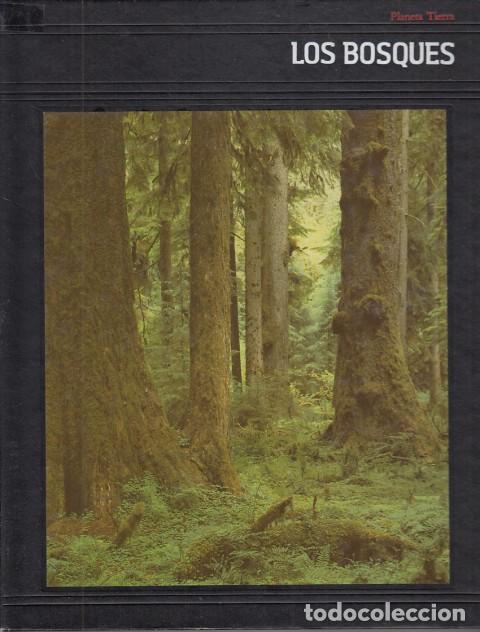 Libros: PLANETA TIERRA. LOS BOSQUES - PRINGLE, LAURENCE Y EL EQUIPO EDITORIAL DE TIME-LIVE BOOKS