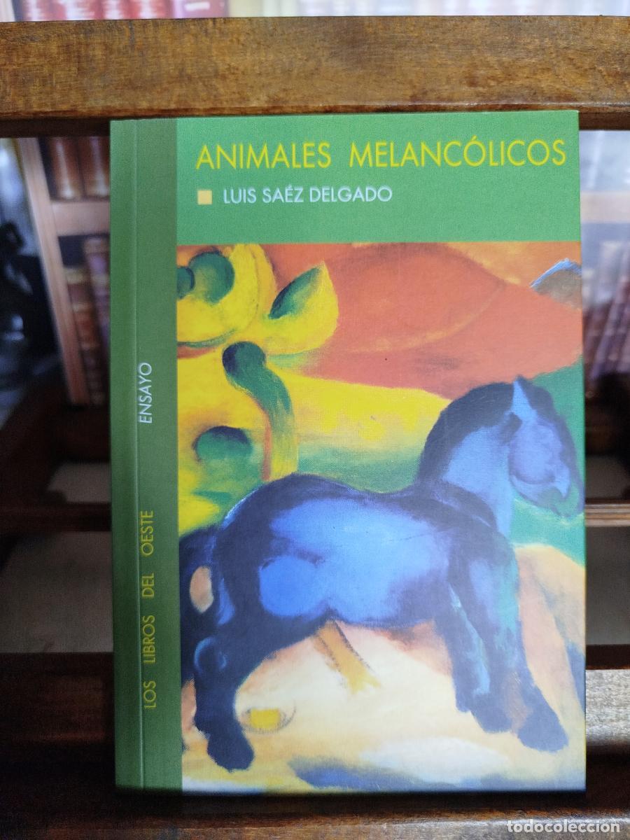 Livros em segunda m&atilde;o: Animales melanc&oacute;licos: la invenci&oacute;n literaria de la identidad - S&aacute;ez Delgado, Luis