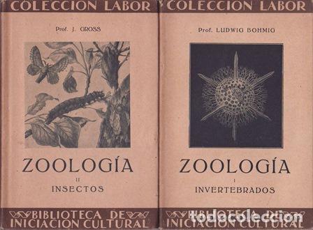 Libros: BOHMIG, Ludwig y J. GROSS.- - Zoolog&iacute;a. Tomo I: Invertebrados. Tomo II: Insectos.