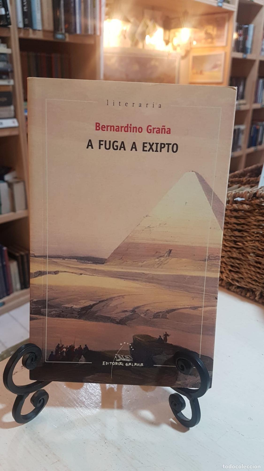 Libros: Fuga a exipto, a - Gra&ntilde;a Villar, Bernardino