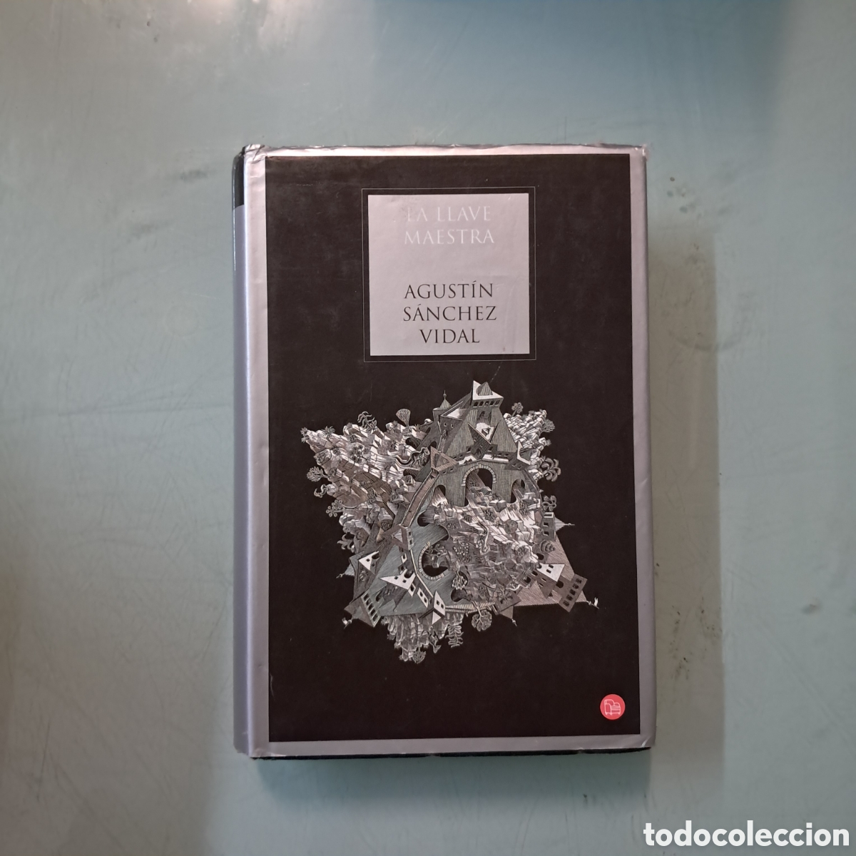 Libros: Agust&iacute;n S&aacute;nchez Vidal, La llave maestra, Pinto de lectura