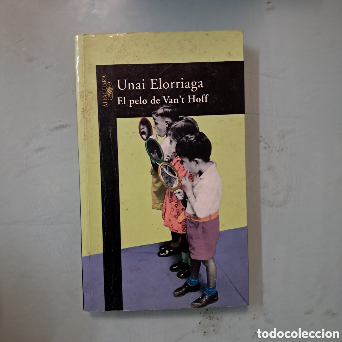 Libros: UNAI ELORRIGA, El pelo de Van't Hoff, Alfaguara