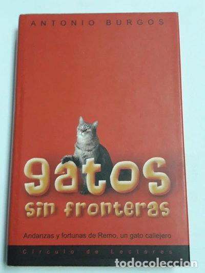 B&uuml;cher: Gatos sin fronteras- 9788467212709