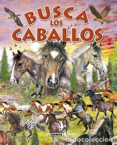 B&uuml;cher: Busca los caballos y ponis- 9788430557998