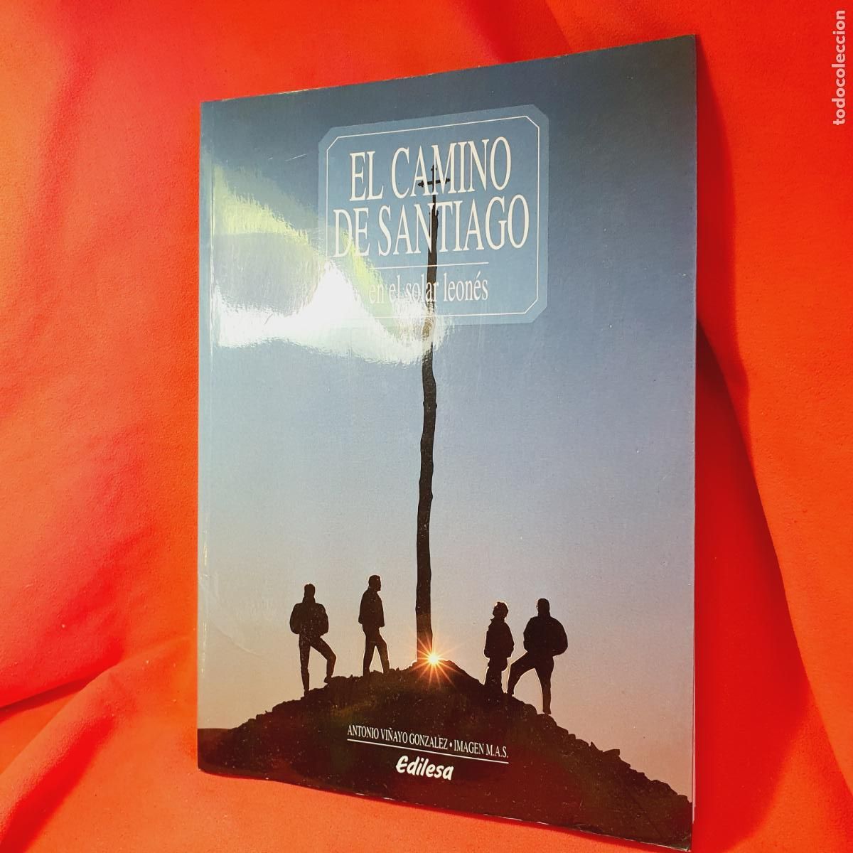 Libros: LIBRO-EL CAMINO DE SANTIAGO EN EL SOLAR LEON&Eacute;S-ANTONIO VI&Ntilde;AYO GONZ&Aacute;LEZ-EDILESA-DEDICATORIA-VER FOTOG