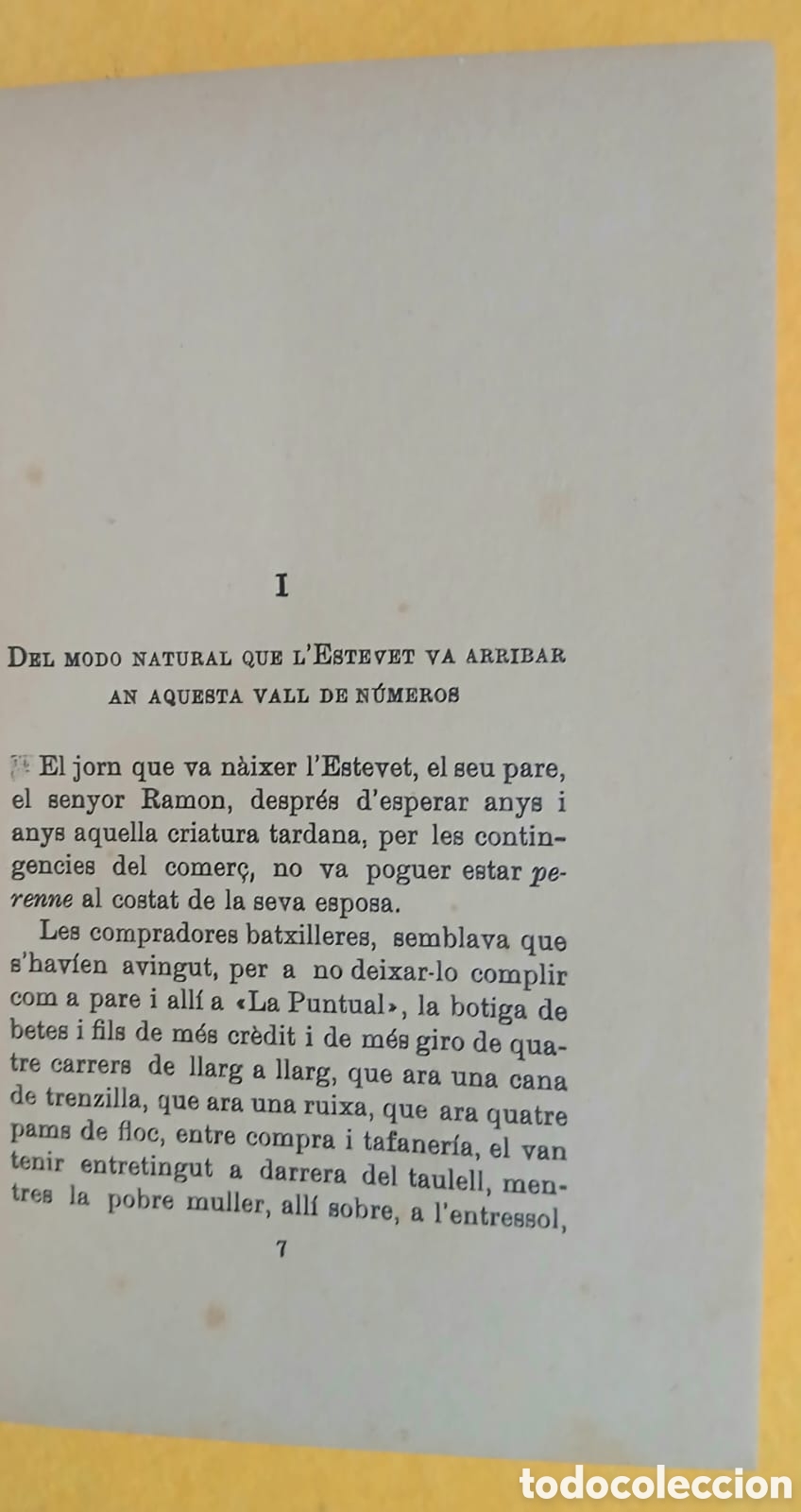 Libros: Lauca del sr. Esteve - Foto 5