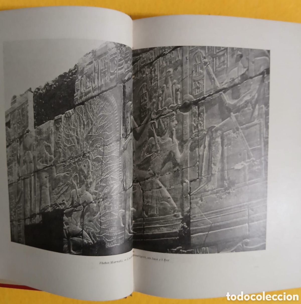 Libros: Rodal Mon torna al Born - Foto 3