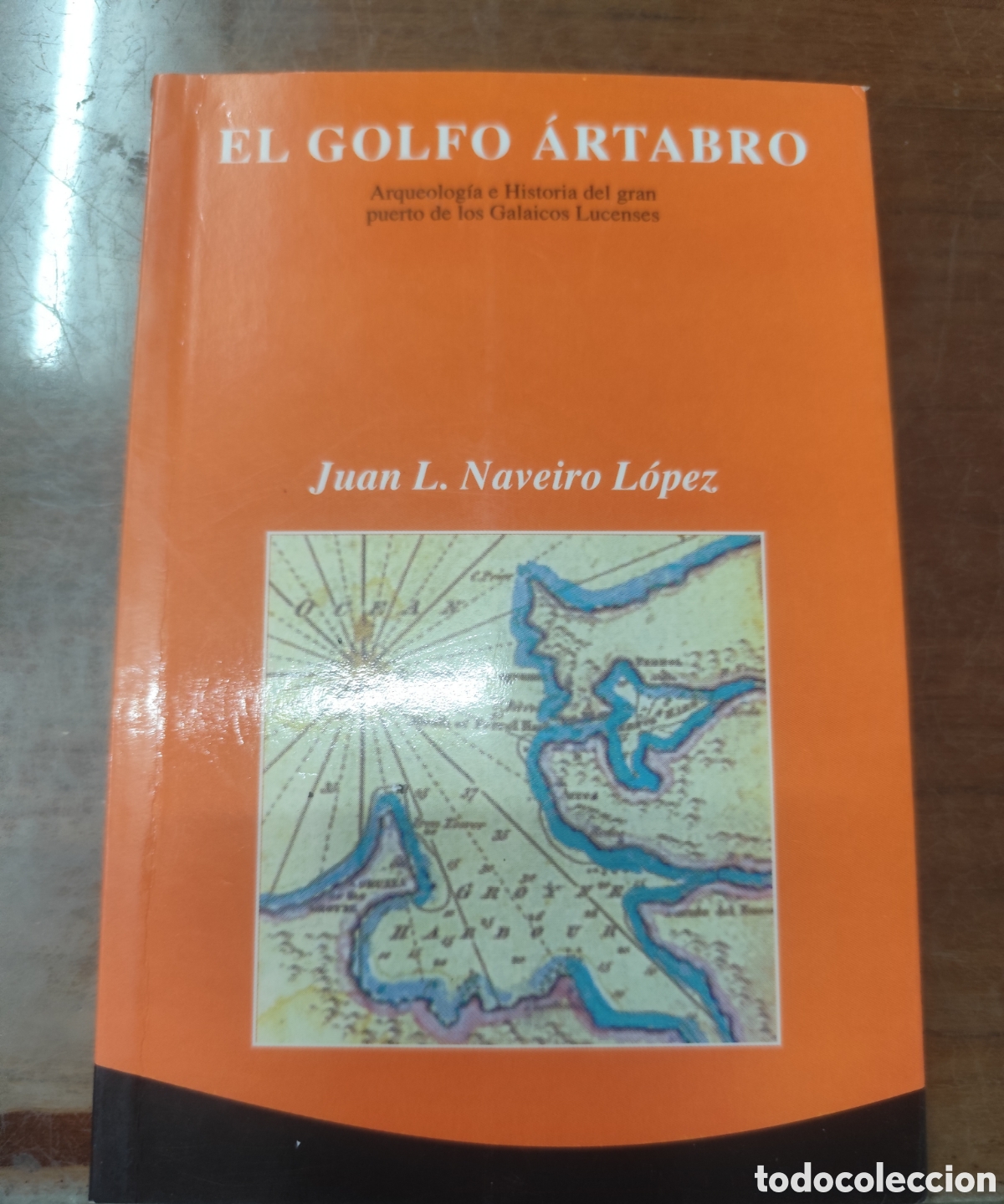 Libros: EL GOLFO ARTABRO. Arqueolog&iacute;a e historia del gran puerto de los Galaicos Lucenses. Galicia - NAVEIRO