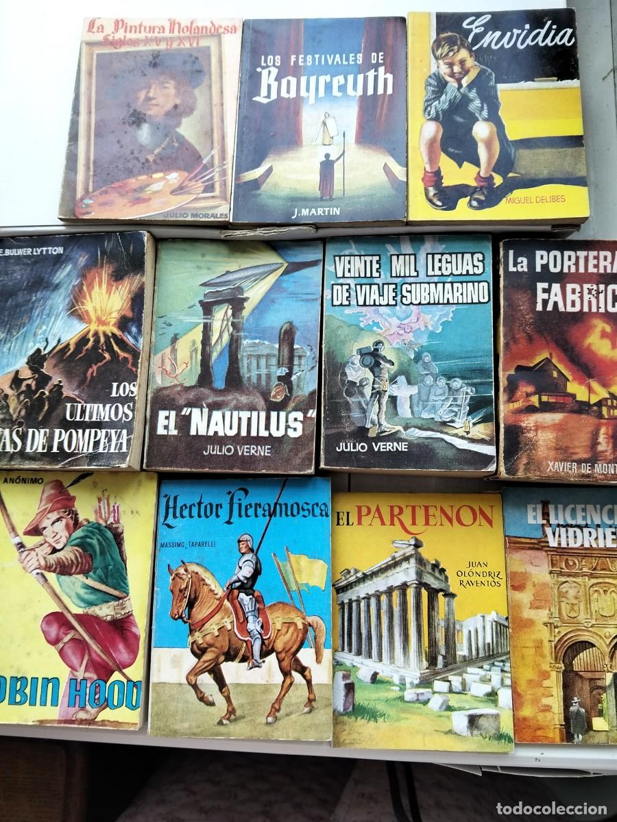 Libros: LOTE 11 LIBROS ENCICLOPEDIA PULGA - Foto 1
