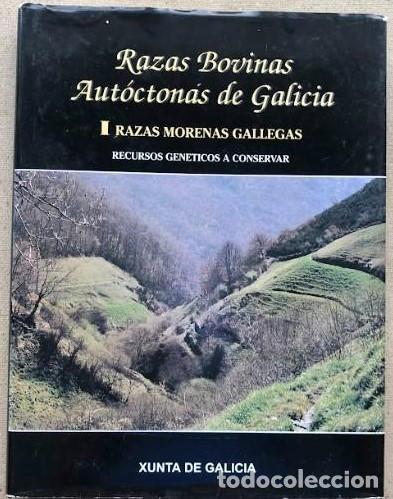 Libros: Razas bovinas aut&oacute;ctonas de Galicia. Razas morenas gallegas. Recursos gen&eacute;ticos a conservar