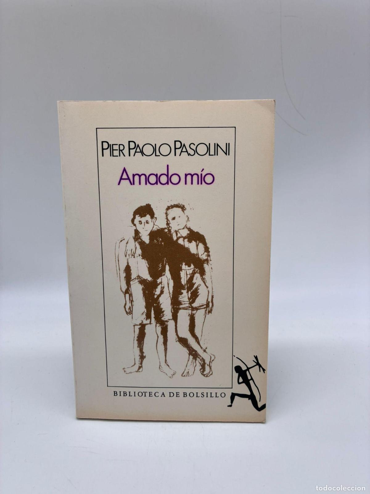 Libros: PASOLINI, Pier Paolo - Amado m&iacute;o.