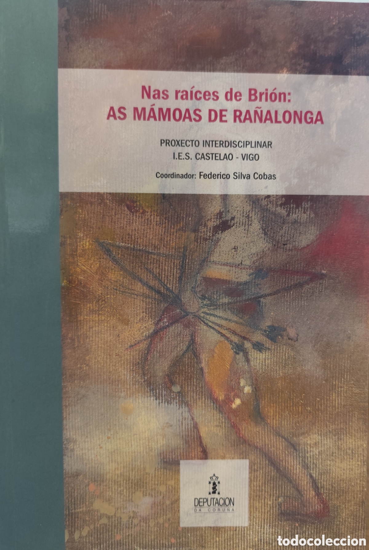 Libros: NAS RAICES DE BRION. As m&aacute;moas de Ra&ntilde;alonga. Galicia - SILVA COBAS,Federico ( Coordinador )