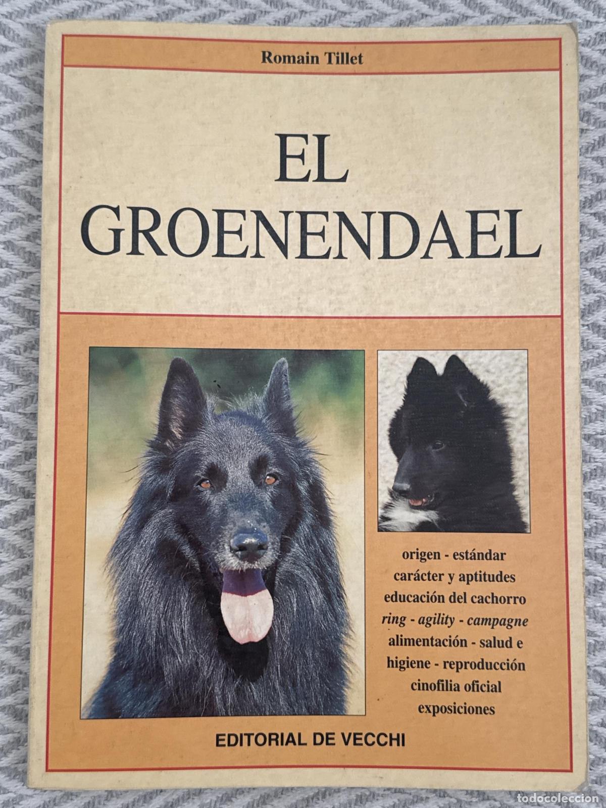 Libros: El Groenendael - Romain Tillet
