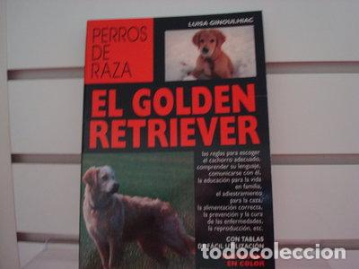 Libros: El Golden Retriever- 9788431515188