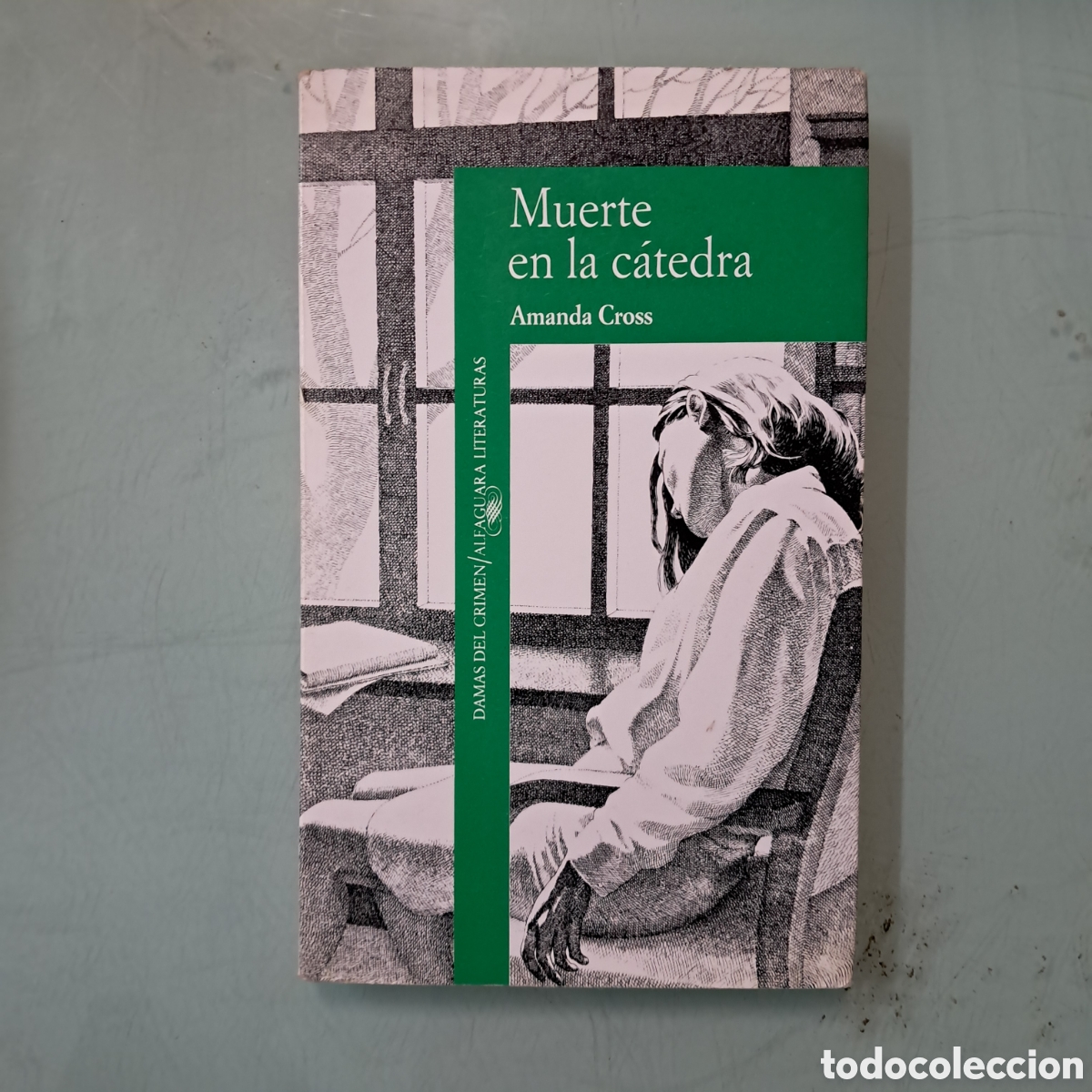 Libros: Amanda Cros, Muerte en la catedra, Alfaguara
