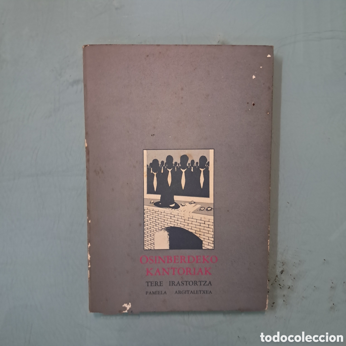 Libros: Osinberdeko kantoriak, Teresa Irastortza
