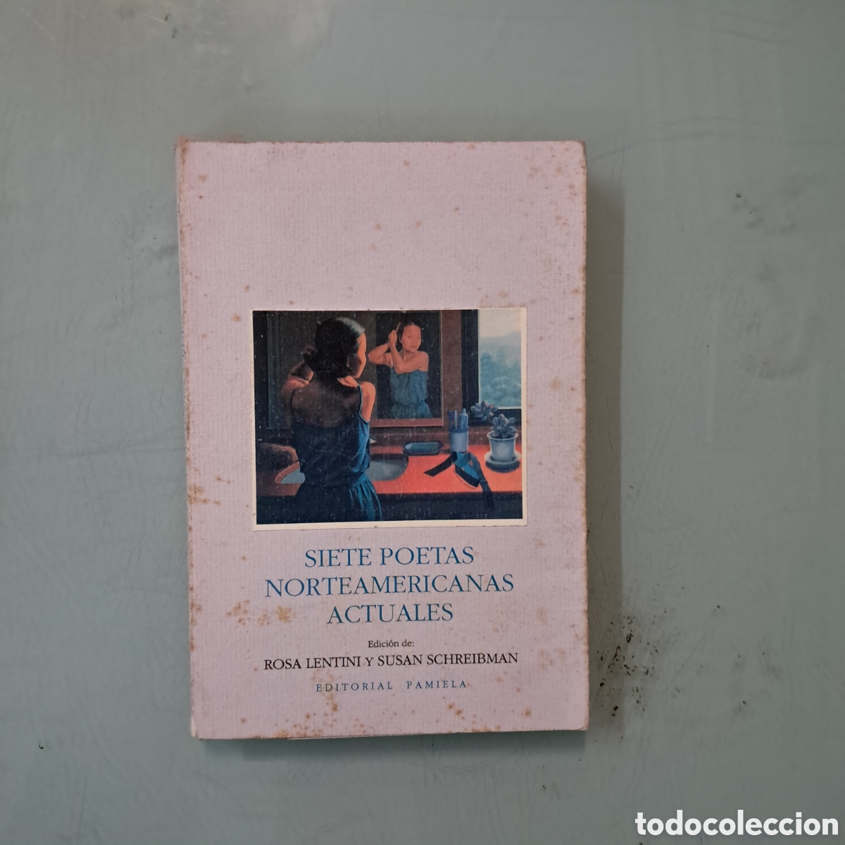 Libros: Siete poetas norteamericanas actuales,Risa Lentini