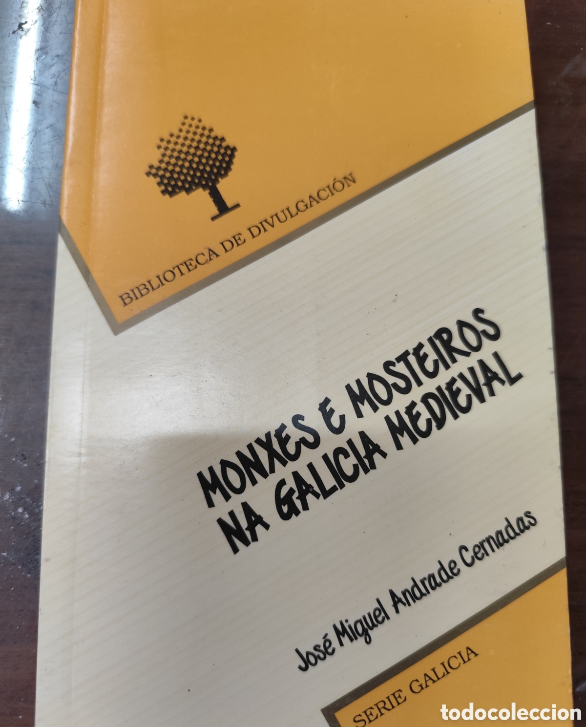 Livros em segunda m&atilde;o: MONXES E MOSTEIROS NA GALICIA MEDIEVAL. Serie Galicia - ANDRADE CERNADAS,Jos&eacute; Miguel