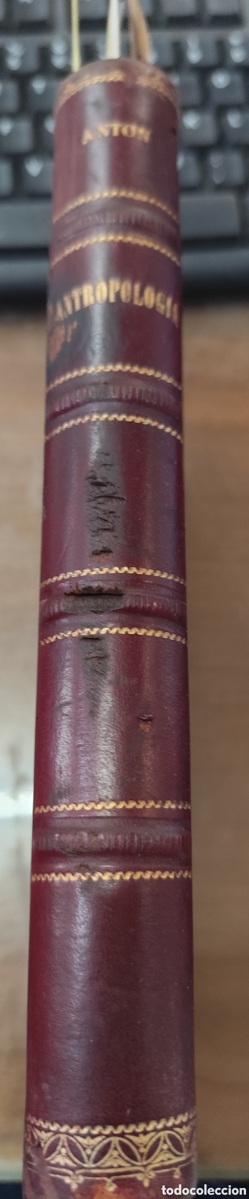 Livros em segunda m&atilde;o: CONFERENCIAS DE ANTROPOLOGIA. A&ntilde;o 1892 - Dr. ANT&Oacute;N