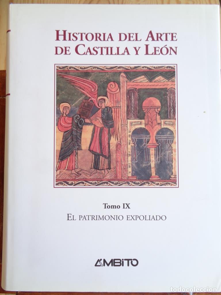 Libros: HISTORIA DEL ARTE DE CASTILLA Y LE&Oacute;N. Tomo IX. Museo de Niebla. El Patrimonio Expoliado. - GONZALO S