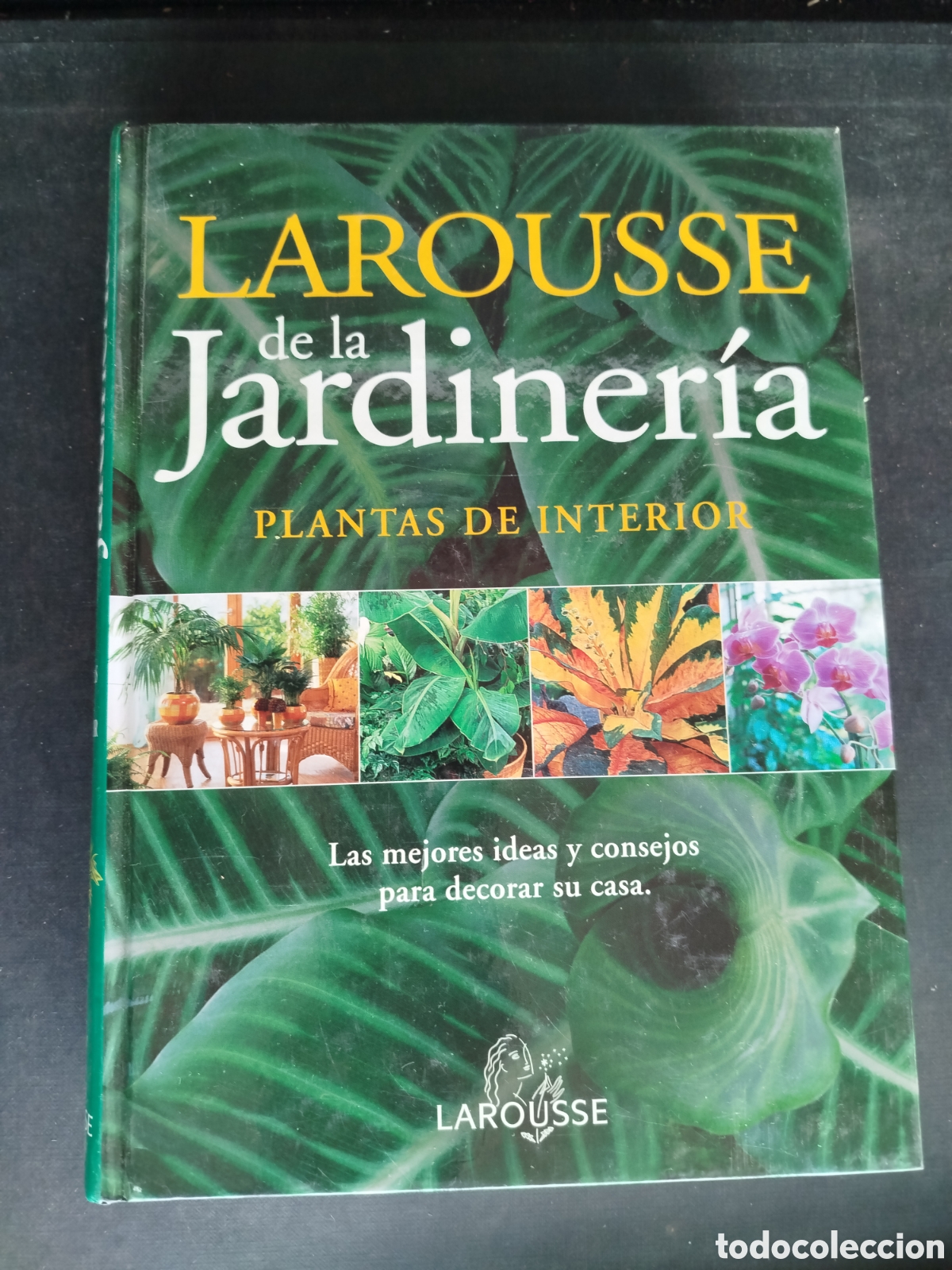 Libros: LAROUSSE DE LA JARDINERA. PLANTAS DE INTERIOR