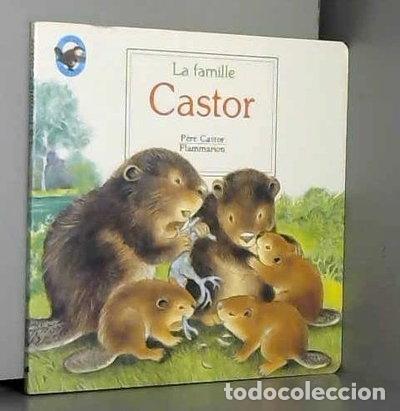 Livros em segunda m&atilde;o: La famille Castor- 9782081623538