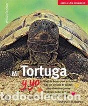 Libros: Mi tortuga y yo- 9788425514913