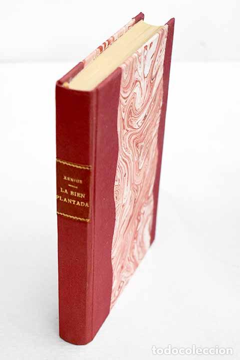 Libros: La bien plantada: Ors, Eugenio d .- Ors, Eugenio d